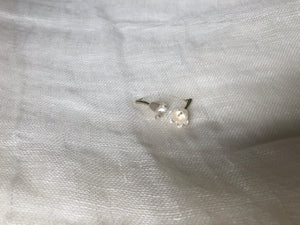 Mini Magnolia Shell Earrings