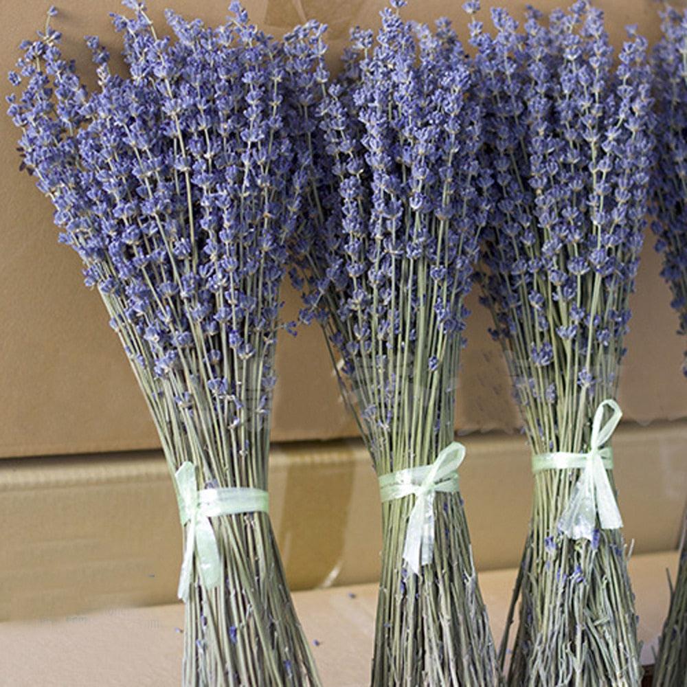 Fleurs séchées naturelles